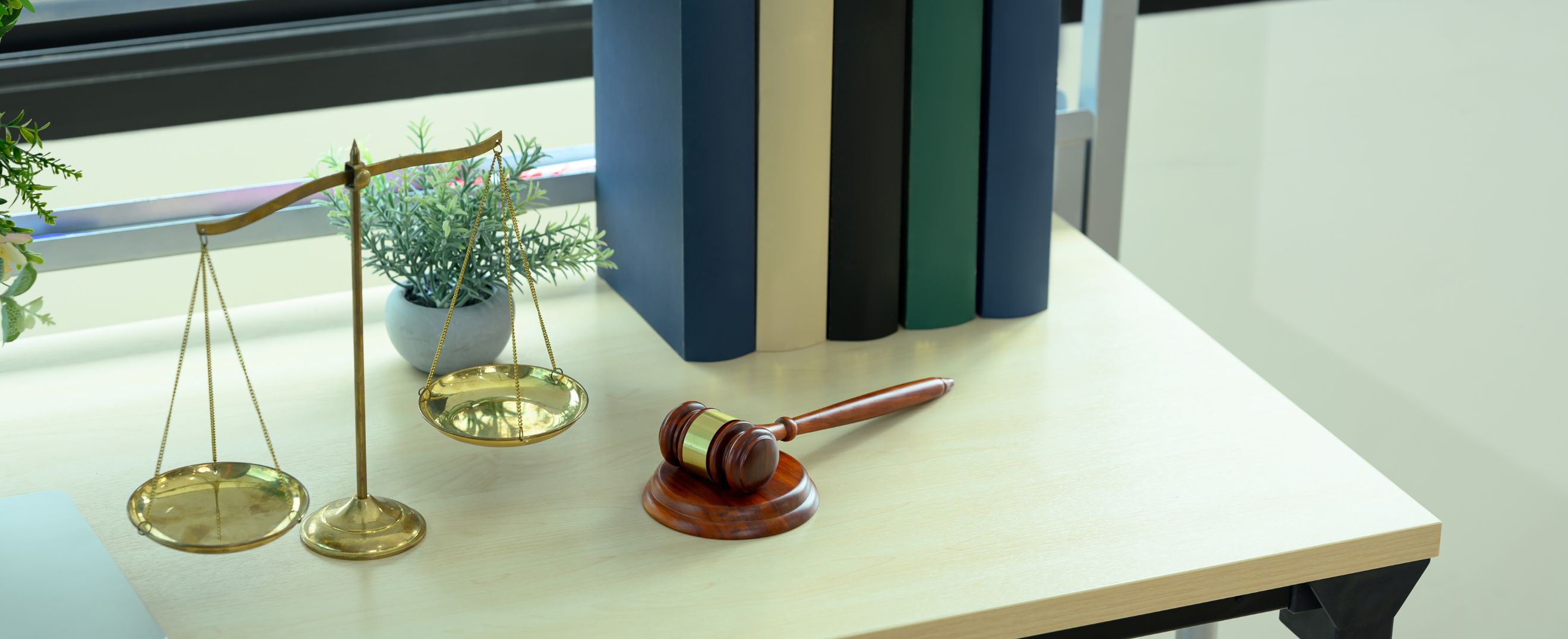 Sobre nós - Edina Pedrão